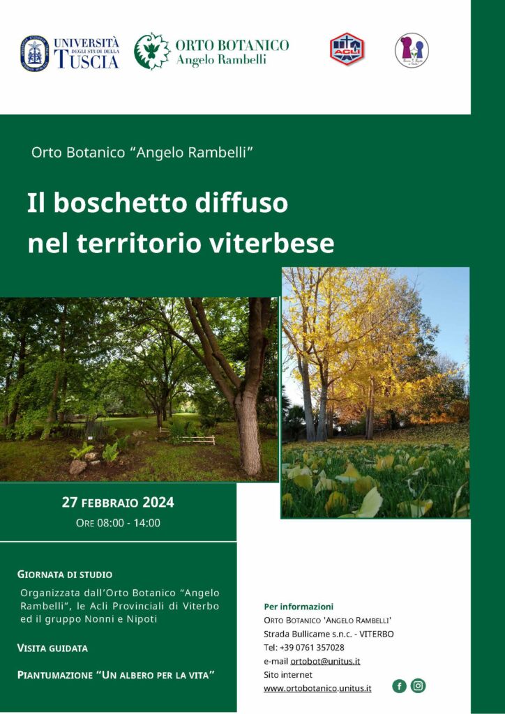 locandina__il boschetto diffuso_Pagina_1